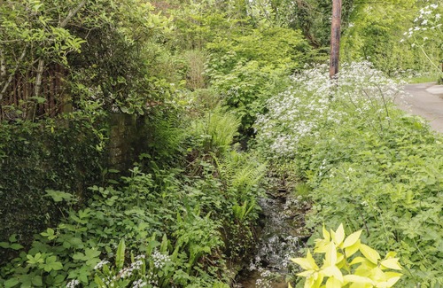 Bridgend Cottage | Swn Y Nant