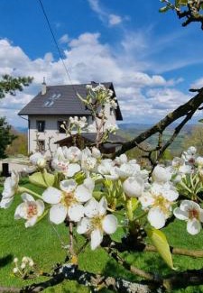 Brenna Bed & Breakfast | Swoboda na szczycie góry