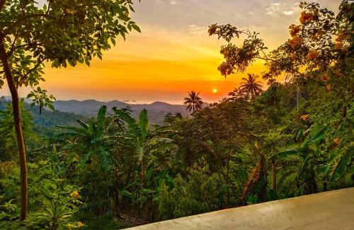 Koh Samui Hotel | SZ Samui Glamping