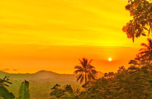 Koh Samui Hotel | SZ Samui Glamping