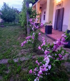 Tiszafured House | Szelíd Tisza Vályog Vendégház Tiszafüred