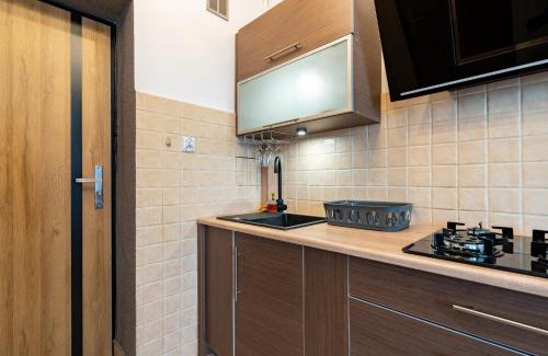 Katowice Apartment | Szeligiewicza Comfort Studio by BookingHost