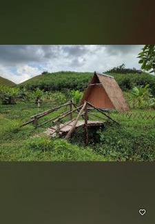 Dong Giang Other | T&J Farmstay