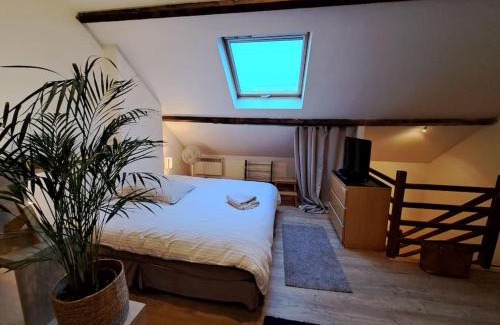 Cambrai Apartment | T1 spacieux lumineux à proximité gare et centre de cambrai