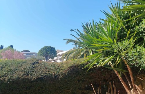 Plaine de la Brague Apartment | T2 apartment in residence with swimming pool