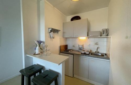 Vieux-Boucau-les-Bains Apartment | T2 Cabine à Vieux Boucau, proche de la plage - FR-1-379-183