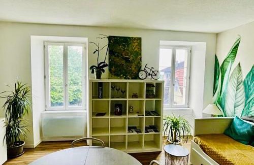 La Roche-sur-Foron Apartment | T2 Cozy au Centre 4 Personnes RochExpo Train Express Annecy Genève Evian