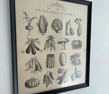 Saint-Louis Apartment | T2 Elio - proche gare et aéroport, parking privé