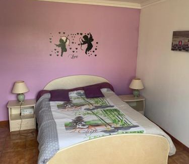 Meyzieu Apartment | T2 indépendant proche OL Stadium et salle LDLC Arena