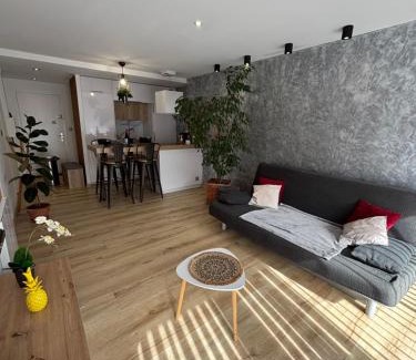 Briancon Apartment | T2 lumineux l' Edelweiss pied du télécabine Prorel avec garage privé et sauna