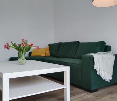 Kedzierzyn Kozle Apartment | Tabago Studio 7