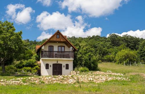 Monoszlo Apartment | Tagyon Birtok Panoráma Apartman
