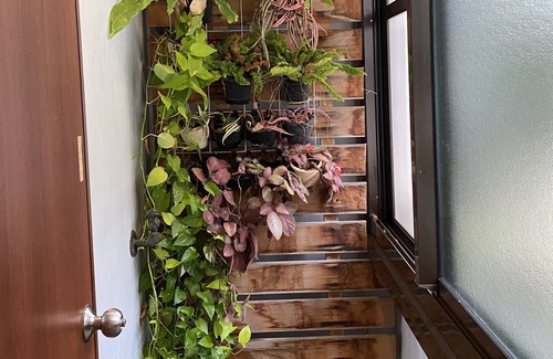 Annan District House | Tainan Initially Life