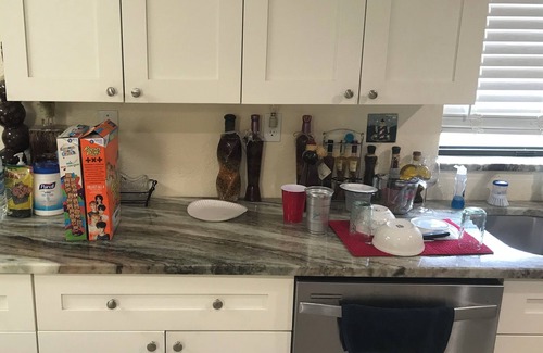 Timberlane Woodlake House | Tampa Lakehouse 5-bedroom houses on a acre