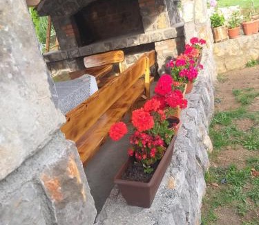 Veljun Primorski Ski Chalet | Tanja