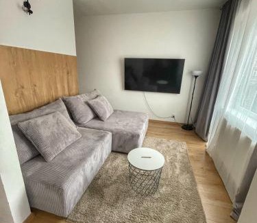 Karlovy Vary Apartment | Tara Apartment