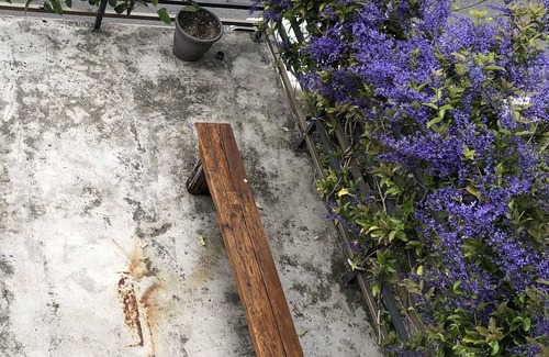 Xiulin House | Taroko Dan Aigle