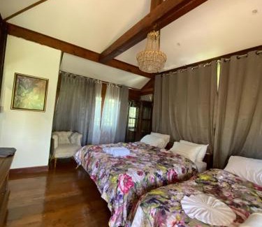 Tha Wang Tan House | Tasana Garden Saraphi ทาซาน่าการ์เด้น สาขาสารภี