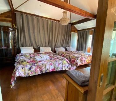 Tha Wang Tan House | Tasana Garden Saraphi ทาซาน่าการ์เด้น สาขาสารภี