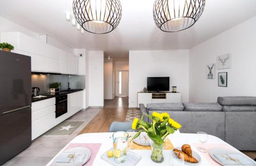 Pradnik Czerwony Apartment | Tauron Arena Residence WAWELOFTS