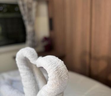 Seisdon House | Tayys Inn Luxury Camp