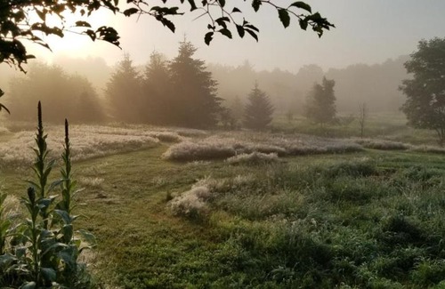 East Meredith Other | Tentrr Signature - Pastoral Paths at Little Farm Too