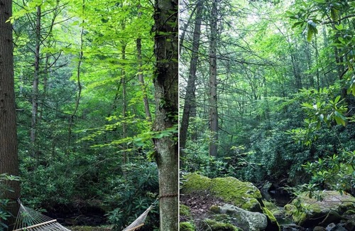 Jim Thorpe RV Rental | Tentrr Signature Site - A Creek Runs Through It