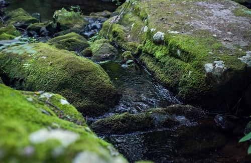 Jim Thorpe RV Rental | Tentrr Signature Site - A Creek Runs Through It