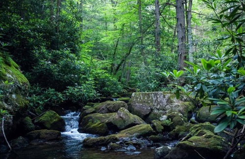 Jim Thorpe RV Rental | Tentrr Signature Site - A Creek Runs Through It