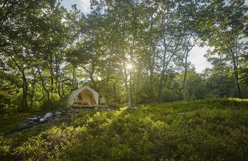 Kerhonkson RV Rental | Tentrr Signature Site - Osa Trail