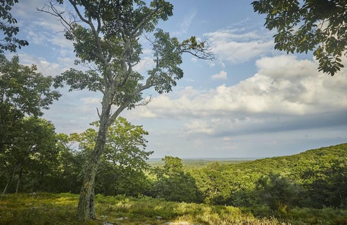 Kerhonkson RV Rental | Tentrr Signature Site - Osa Trail