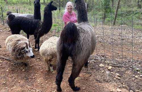 Hixson RV Rental | Tentrr Signature Site - Peaceful Hollow Farm Glamping