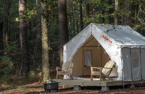 Morton Other | Tentrr State Park Site - Mississippi Roosevelt State Park - Tall Trees D - Single Camp