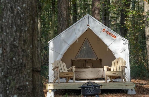 Morton Other | Tentrr State Park Site - Mississippi Roosevelt State Park - Tall Trees D - Single Camp