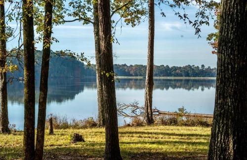 Morton Other | Tentrr State Park Site - Mississippi Roosevelt State Park - Tall Trees D - Single Camp