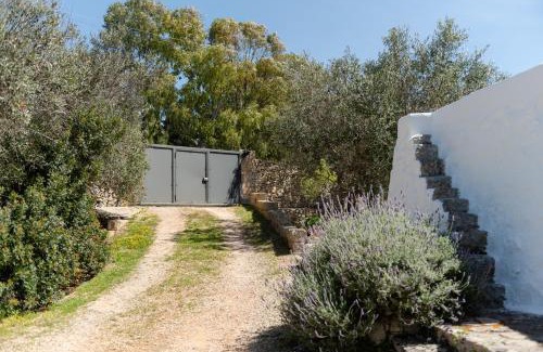 Castrignano del Capo Villa | Tenuta Lavati, Santa Maria di Leuca