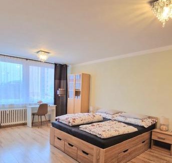 Teplice Apartment | TEPLA