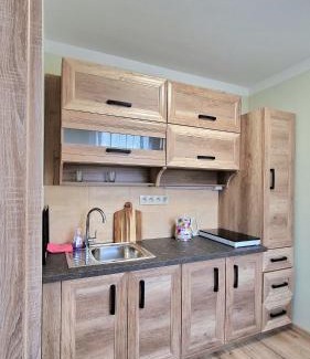 Teplice Apartment | TEPLA