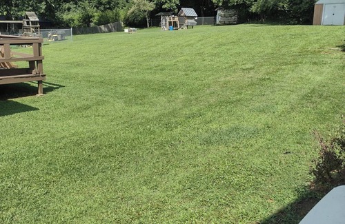 Bristol House | Terrific 2-bedroom house with AC in Bristol