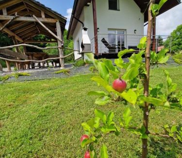 Debica House | Tetmajera View & Garden