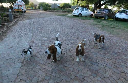 Dysseldorp Cabin | Thabile Lodge