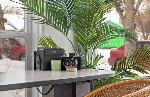 Drumheller House | That 70's Show | 2 Bed Retro Getaway | BBQ & More!