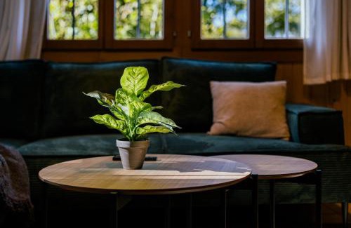 Axalp Apartment | The Alpine Nest on the Sunny Slope