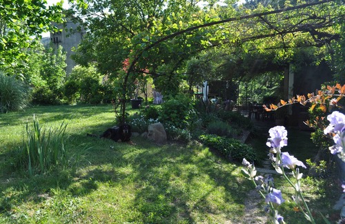 Chamborigaud Apartment | "The Arches" Lodging in house carractère eighteenth garden, pool