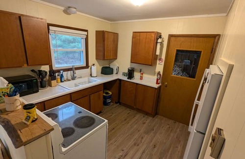 Herron Cabin | The Atwood Lodge | Secluded Cabin in Curran MI