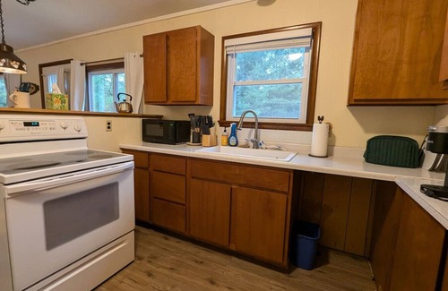 Herron Cabin | The Atwood Lodge | Secluded Cabin in Curran MI