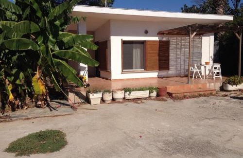 Marathon House | Τhe banana tree beach house