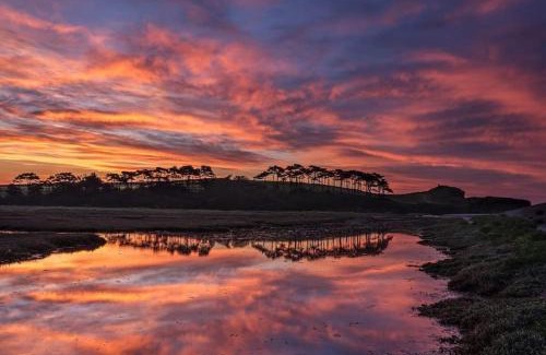 Exmouth House | The Beach House-Devon- On the beach- sleeps 20