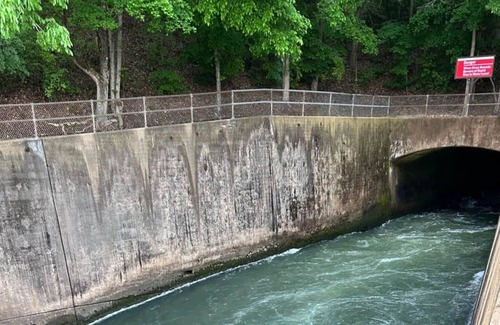 Piedmont Cabin | The Birdsong Cottage