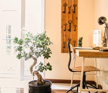 Sacramento Apartment | The Bonsai Apartment - Glamorous Chiado